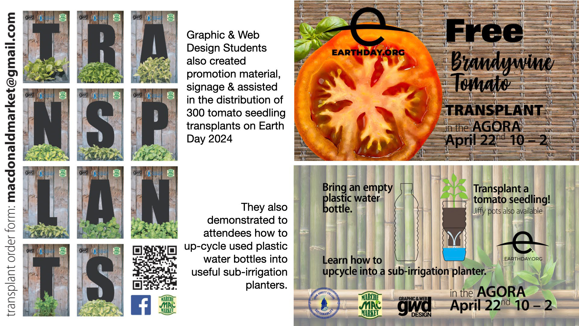 Tomato-transplant-demonstration